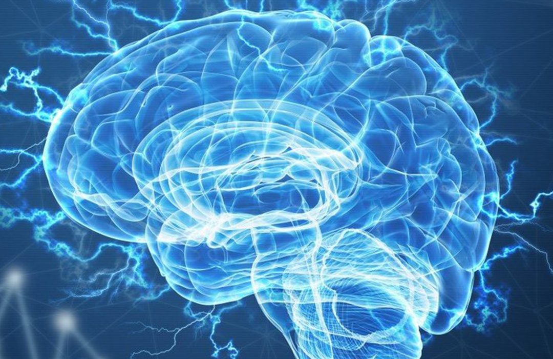 especialistas neurologia alicante quironsalud